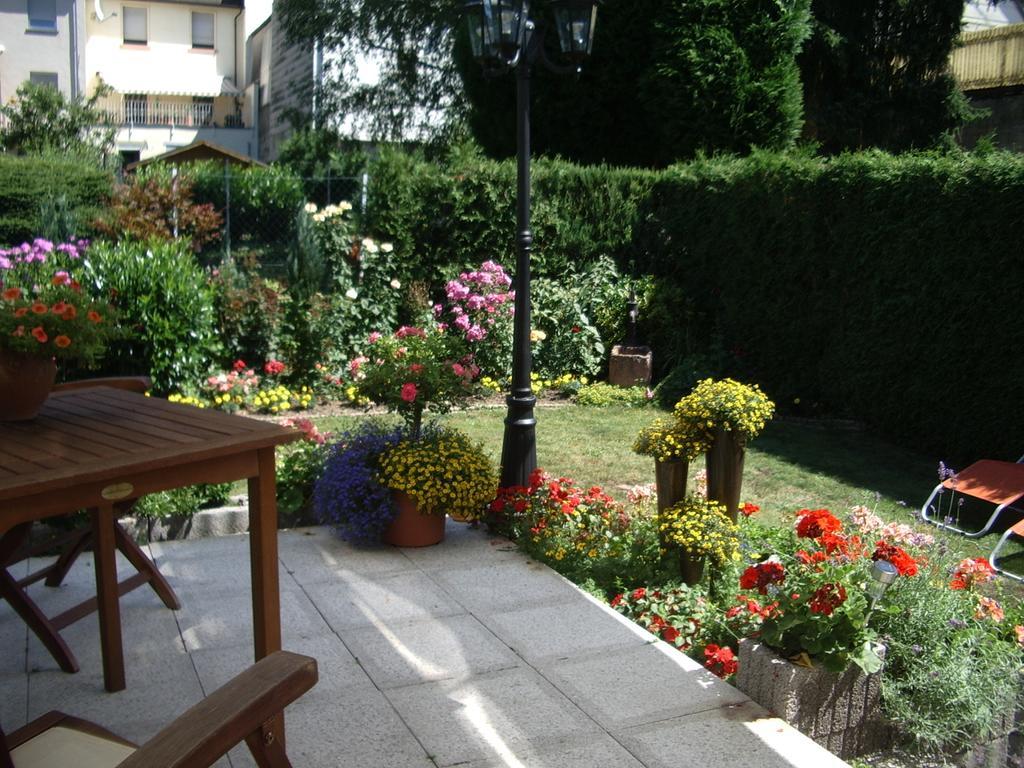 Hotel Gästehaus Resi Zeltingen-Rachtig Exterior foto